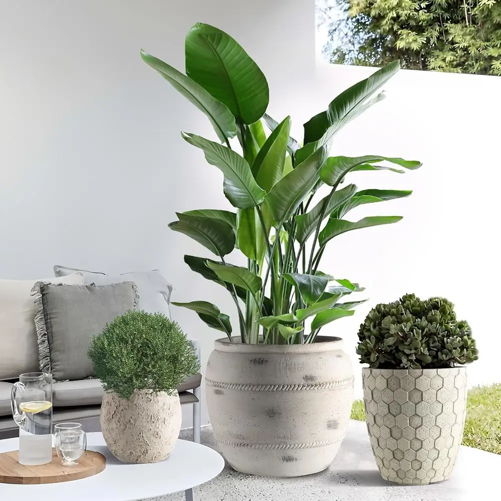 Set of 3 Stone-Textured Concrete Planters, Large Outdoor/Indoor Drainage Pots for Patio, Balcony, or Garden Décor (Stone White)
Set of 3 Stone-Textured Concrete Planters, Large Outdoor/Indoor Drainage Pots for Patio, Balcony, or Garden Décor (Stone White)