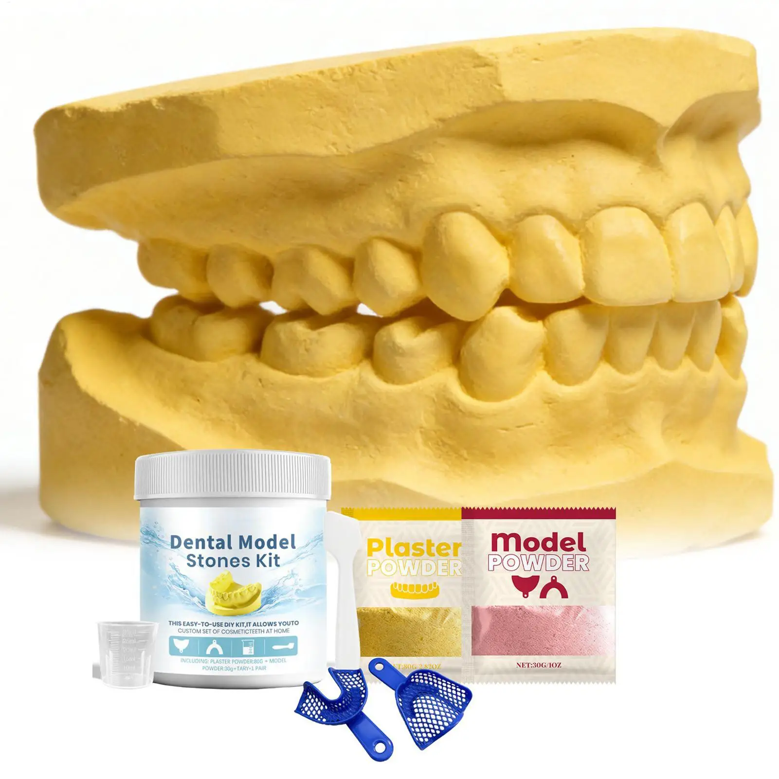 Teeth Model Kit DIY Impression Set Easy Dental Education Study Model Craft Making Taking Teeth Impression Plaster Mold Cast Kit
Teeth Model Kit DIY Impression Set Easy Dental Education Study Model Craft Making Taking Teeth Impression Plaster Mold Cast Kit