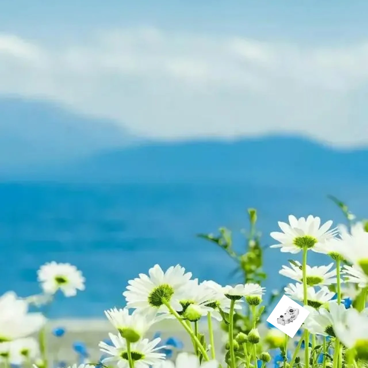 Комплект алюминиевых корпусов трансмиссии GPM 7075 TAMIYA 1/10 BBX BB-01 58719
Комплект алюминиевых корпусов трансмиссии GPM 7075 TAMIYA 1/10 BBX BB-01 58719