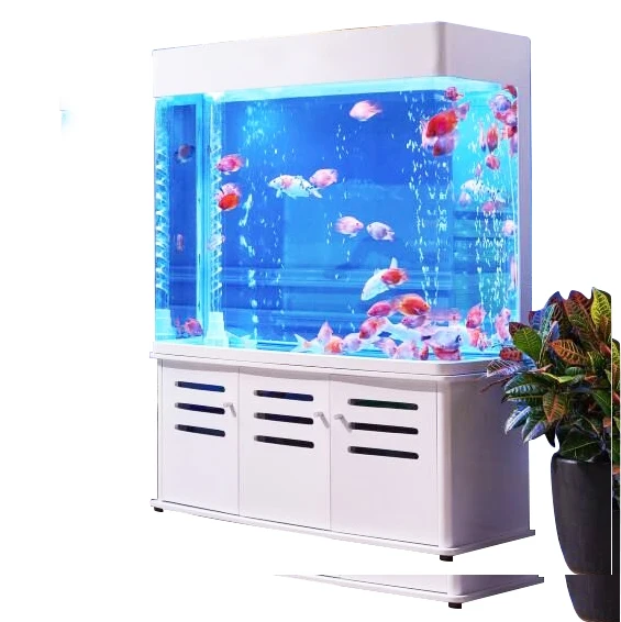 Индивидуальный морской большой аквариум для рыб на 200 галлонов, прямая продажа с фабрики, домашний большой акриловый аквариум для дома
Индивидуальный морской большой аквариум для рыб на 200 галлонов, прямая продажа с фабрики, домашний большой акриловый аквариум для дома