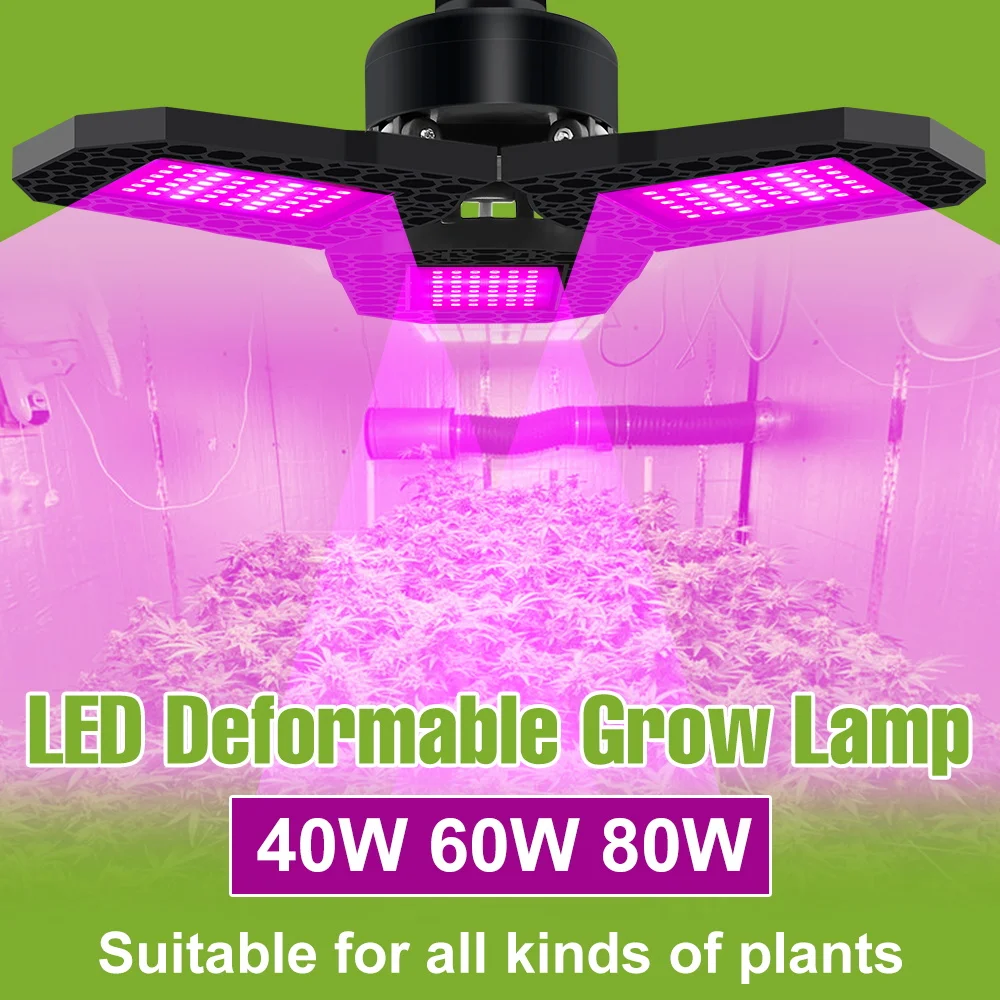 80W LED Grow Lights Bulb Full Spectrum E27 Indoor Plants Cultivation Lamp Flower Seeds Greenhouse Tent Fruit Vegs Fill Lighting
80W LED Grow Lights Bulb Full Spectrum E27 Indoor Plants Cultivation Lamp Flower Seeds Greenhouse Tent Fruit Vegs Fill Lighting