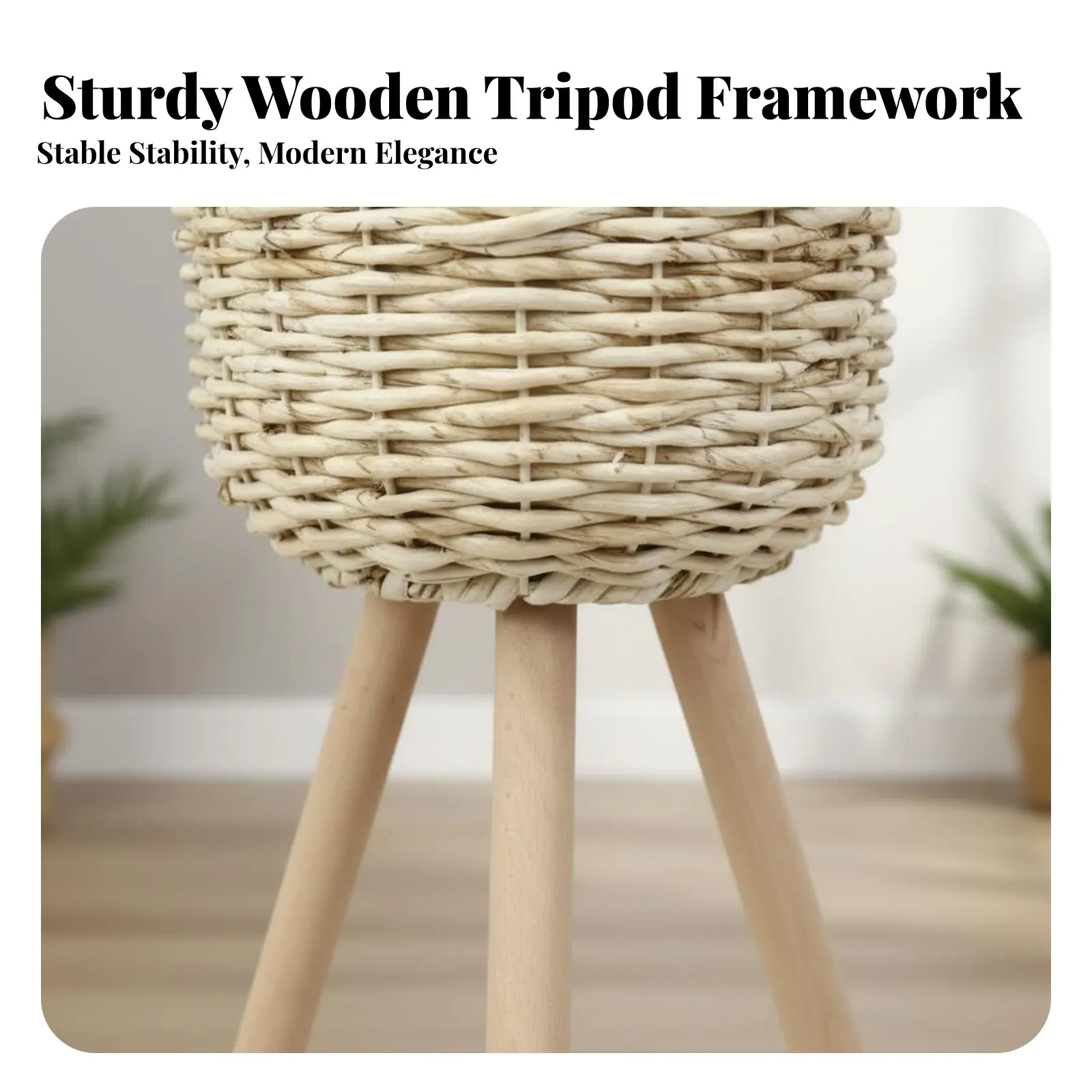 Tripod Planter Container Nordic Design Aesthetic Plant Stand Floor-Standing Adaptable for Homeowners, Interior Designers
Tripod Planter Container Nordic Design Aesthetic Plant Stand Floor-Standing Adaptable for Homeowners, Interior Designers