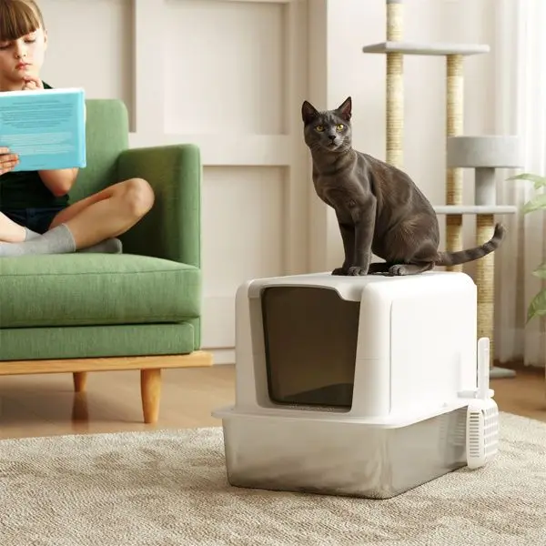 No Assembly Cat Litter Box with Stainless Steel Tray & Odor-Control Design –13lb Capacity, Top Handle,Sand Filter,Scoop Included
No Assembly Cat Litter Box with Stainless Steel Tray & Odor-Control Design –13lb Capacity, Top Handle,Sand Filter,Scoop Included