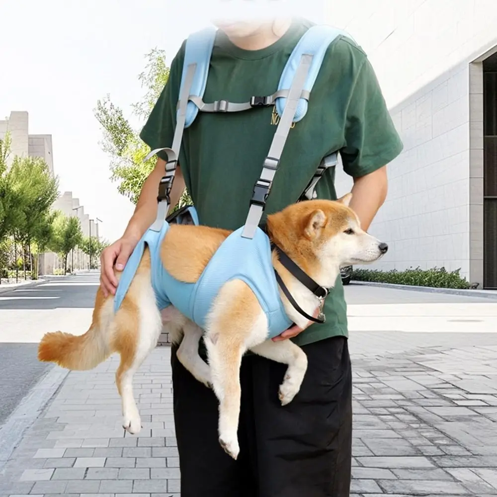 Soft Pet Carrier Bags Big Capacity Breathable Dog Sling Harness Adjustable with Safety Strap and Pocket Dog Duffel Bag Summer
Soft Pet Carrier Bags Big Capacity Breathable Dog Sling Harness Adjustable with Safety Strap and Pocket Dog Duffel Bag Summer