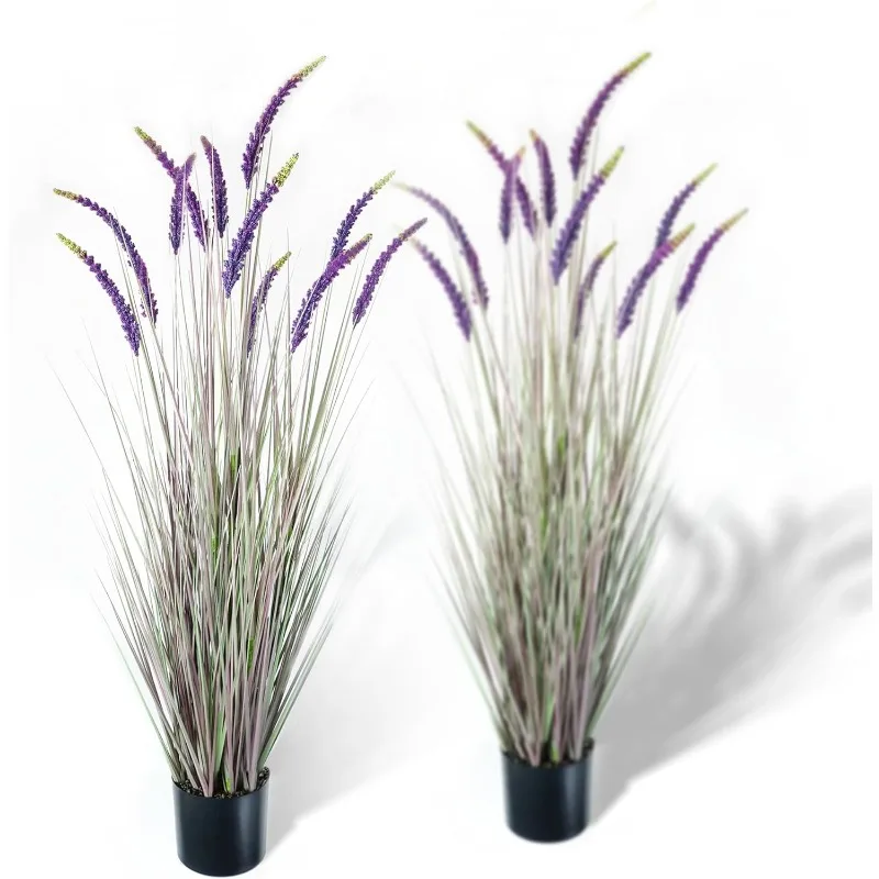 5ft 2-Pack Faux Veronica Spiked Speedwell Grass, 59in Artificial Veronica Spicata Plant, Tall Fake Reed Grasses for Home Off
5ft 2-Pack Faux Veronica Spiked Speedwell Grass, 59in Artificial Veronica Spicata Plant, Tall Fake Reed Grasses for Home Off