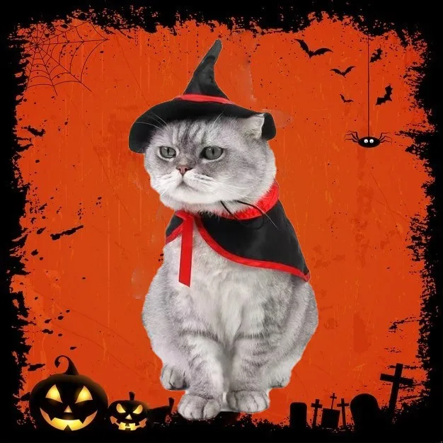 Halloween Inflatable Costume Cats Clothing Pet Items Dog Fancy Dress Cosplay Costumes for Dogs Christmas Bat Cat Supplies Home
Halloween Inflatable Costume Cats Clothing Pet Items Dog Fancy Dress Cosplay Costumes for Dogs Christmas Bat Cat Supplies Home