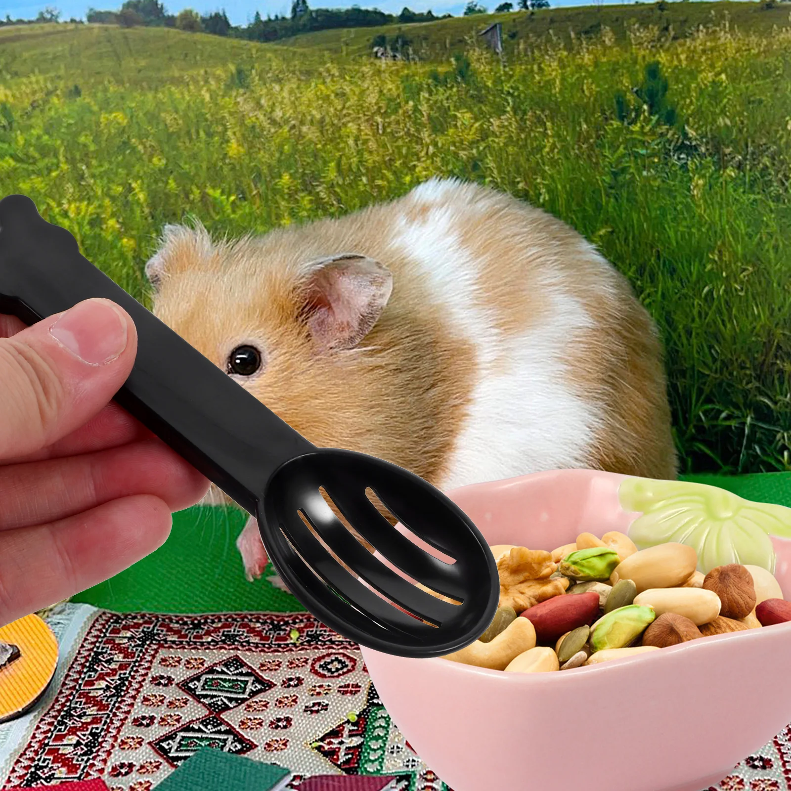 5Pcs Compact Lightweight Hamster Sand Spoons Bath Colander Spoons Small Pet Bathtub Tools Practical For Hamster Feeding
5Pcs Compact Lightweight Hamster Sand Spoons Bath Colander Spoons Small Pet Bathtub Tools Practical For Hamster Feeding