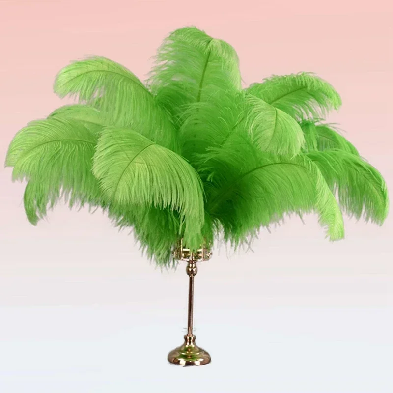 Apple Green Ostrich Feather Decor Feathers Vases Centerpiece for Table Jewelry Handicrafts Wedding Accessories Large Decorative
Apple Green Ostrich Feather Decor Feathers Vases Centerpiece for Table Jewelry Handicrafts Wedding Accessories Large Decorative