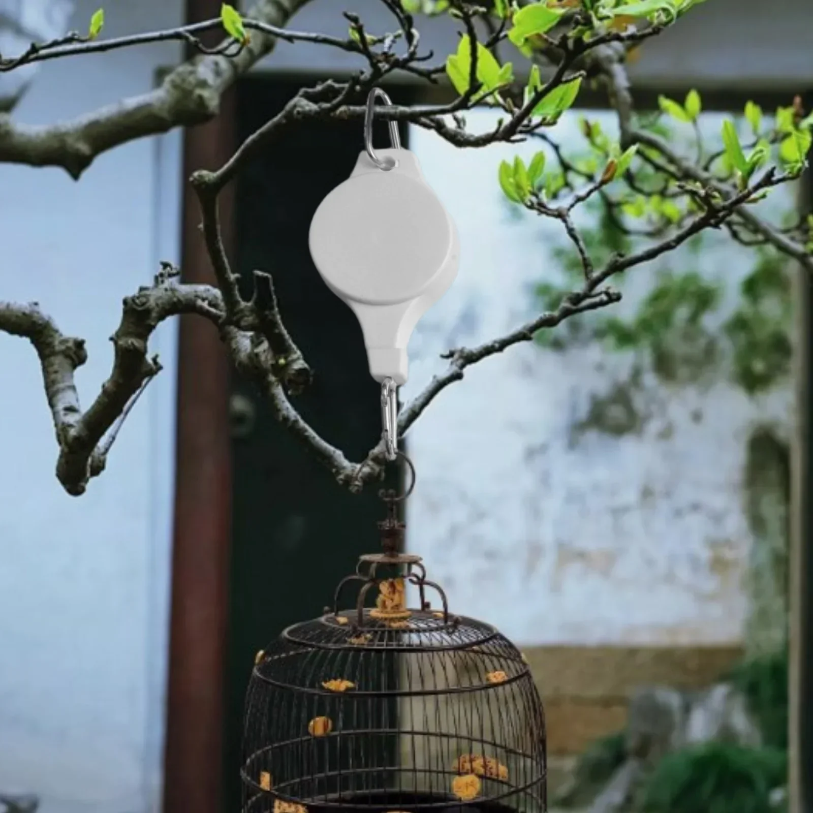 Retractable Hanger Plant Hook Pulley 21*7.5cm 6Pcs Retractable Hanger Space-Saving Versatile White Hook Pulley
Retractable Hanger Plant Hook Pulley 21*7.5cm 6Pcs Retractable Hanger Space-Saving Versatile White Hook Pulley