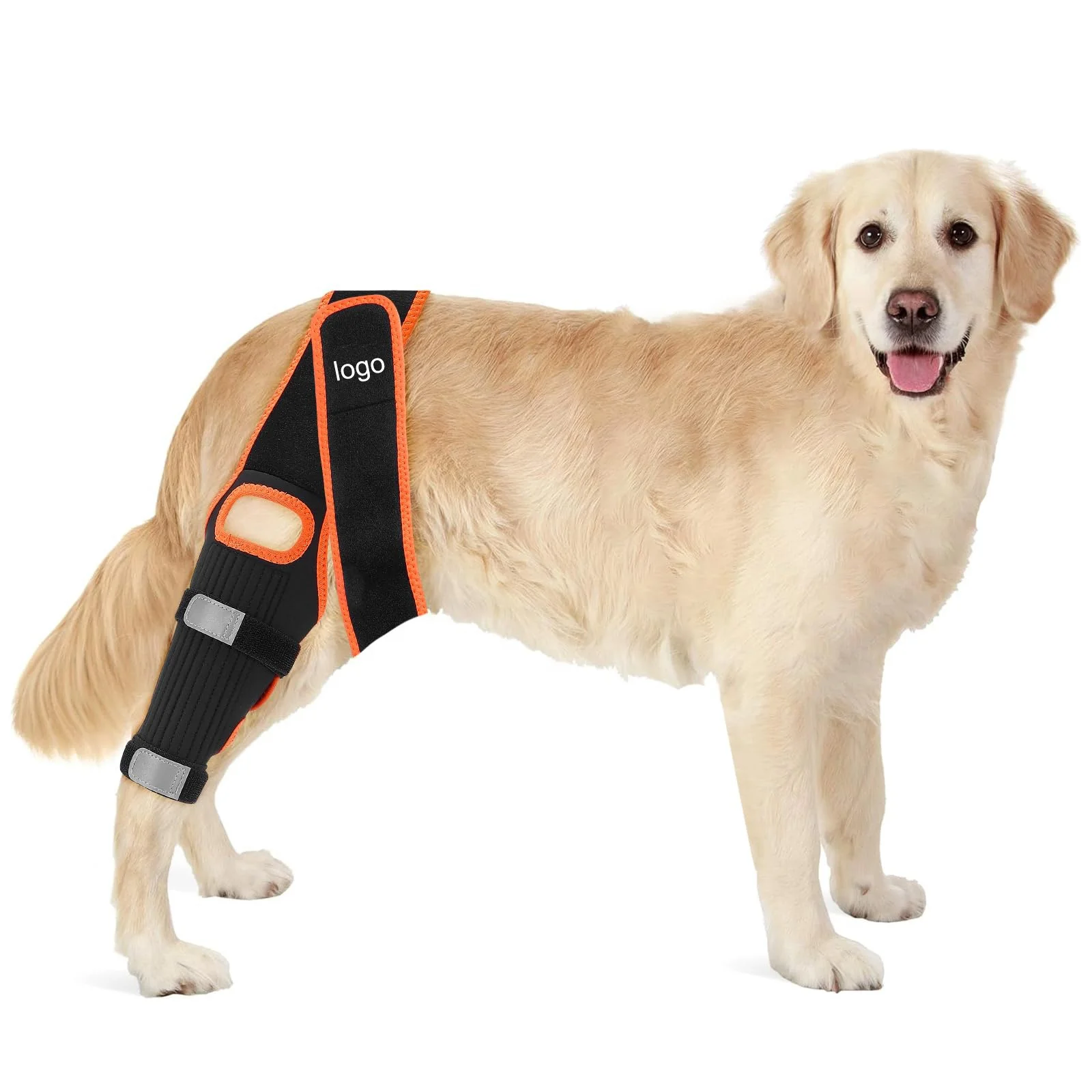 Dog Knee Brace Leg Braces with Side Stabilizers for Dogs Support for Torn ACL CCL Hind Leg
Dog Knee Brace Leg Braces with Side Stabilizers for Dogs Support for Torn ACL CCL Hind Leg