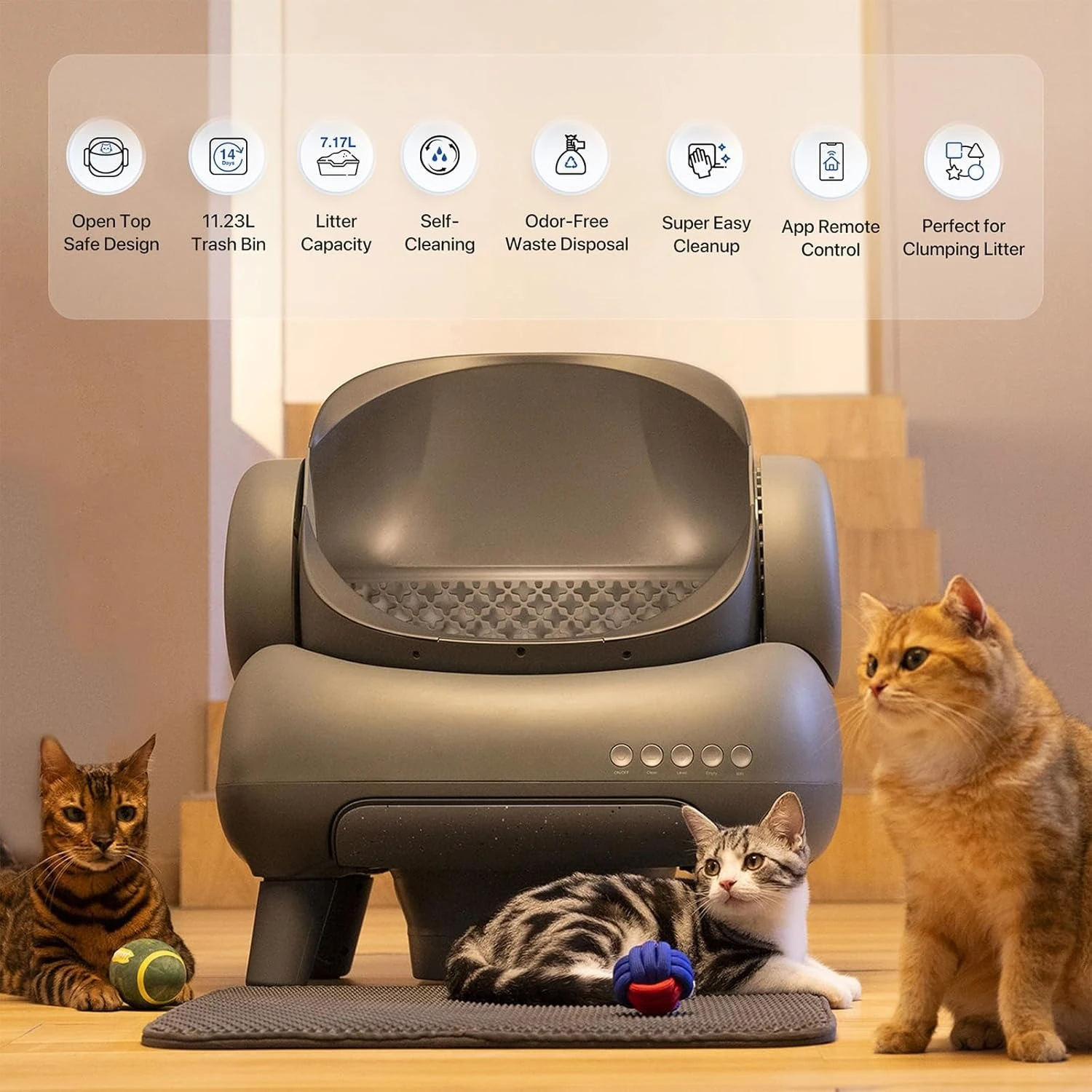 M1 Open-Top Self Cleaning Cat Litter Box and Cat Pedal Step Stool with Filter Function
M1 Open-Top Self Cleaning Cat Litter Box and Cat Pedal Step Stool with Filter Function
