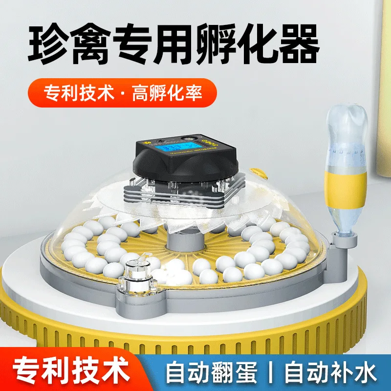 Suitable forFactory direct sales Small household incubator Automatic egg Intelligent breeding Egg 
Suitable forFactory direct sales Small household incubator Automatic egg Intelligent breeding Egg