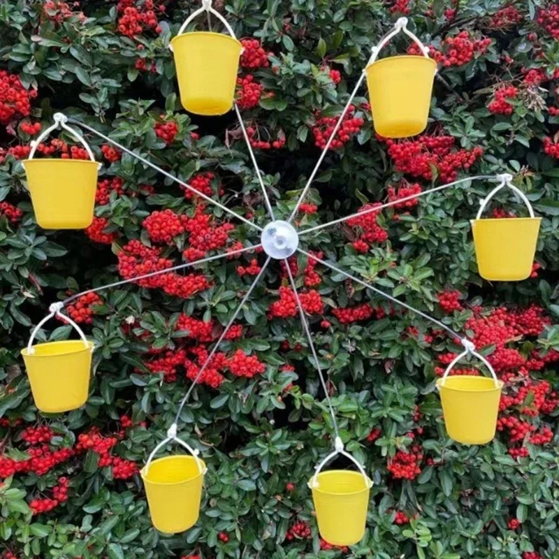 Pet Bird Feeding Toy for Parrots Parakeets Budgies Cage Bird Foraging Training Multifunctional Cage Toy
Pet Bird Feeding Toy for Parrots Parakeets Budgies Cage Bird Foraging Training Multifunctional Cage Toy