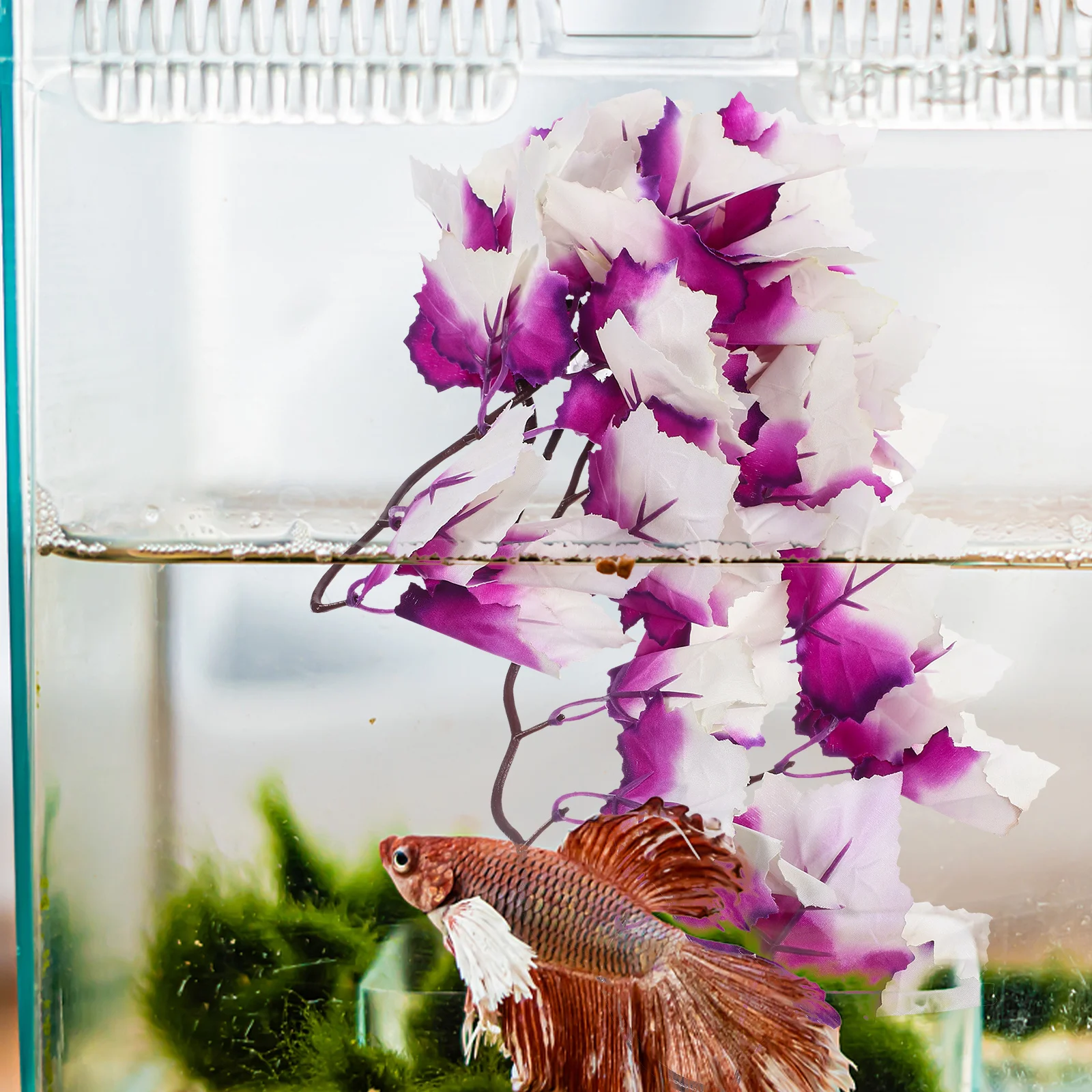 Vines Simulated Aquatic Plants 3D Realistic Fish Tank Decoration Artificial Rattan Seaweed Aquarium Accessories for Fresh Salt
Vines Simulated Aquatic Plants 3D Realistic Fish Tank Decoration Artificial Rattan Seaweed Aquarium Accessories for Fresh Salt