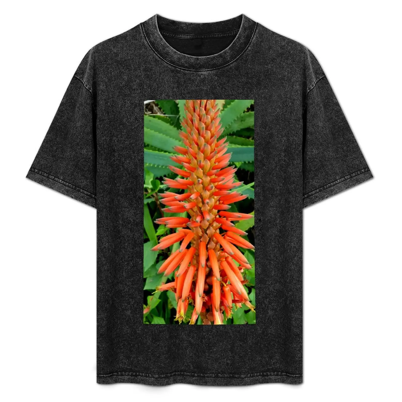 Aloe vera flower T-Shirt Plus Size Everyday Tee Shirt
Aloe vera flower T-Shirt Plus Size Everyday Tee Shirt