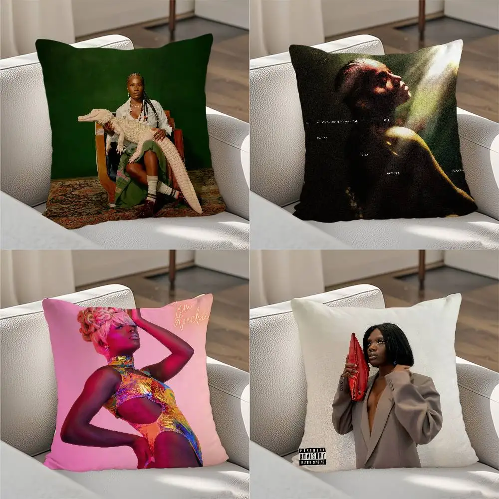 Singer D-Doechii Pillow Case Luxury Double-sided For Car Pillows 45x45 Cushions Cover Home and Decoration Sofa Pillow case
Singer D-Doechii Pillow Case Luxury Double-sided For Car Pillows 45x45 Cushions Cover Home and Decoration Sofa Pillow case