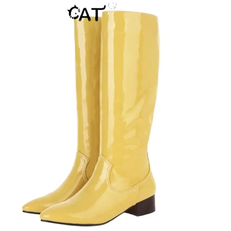 ASILETO Knee High Boots Lady Pointed Toe Chunky Heels Slip-on Big Size 34-43 Blue Yellow Concise S2737
ASILETO Knee High Boots Lady Pointed Toe Chunky Heels Slip-on Big Size 34-43 Blue Yellow Concise S2737