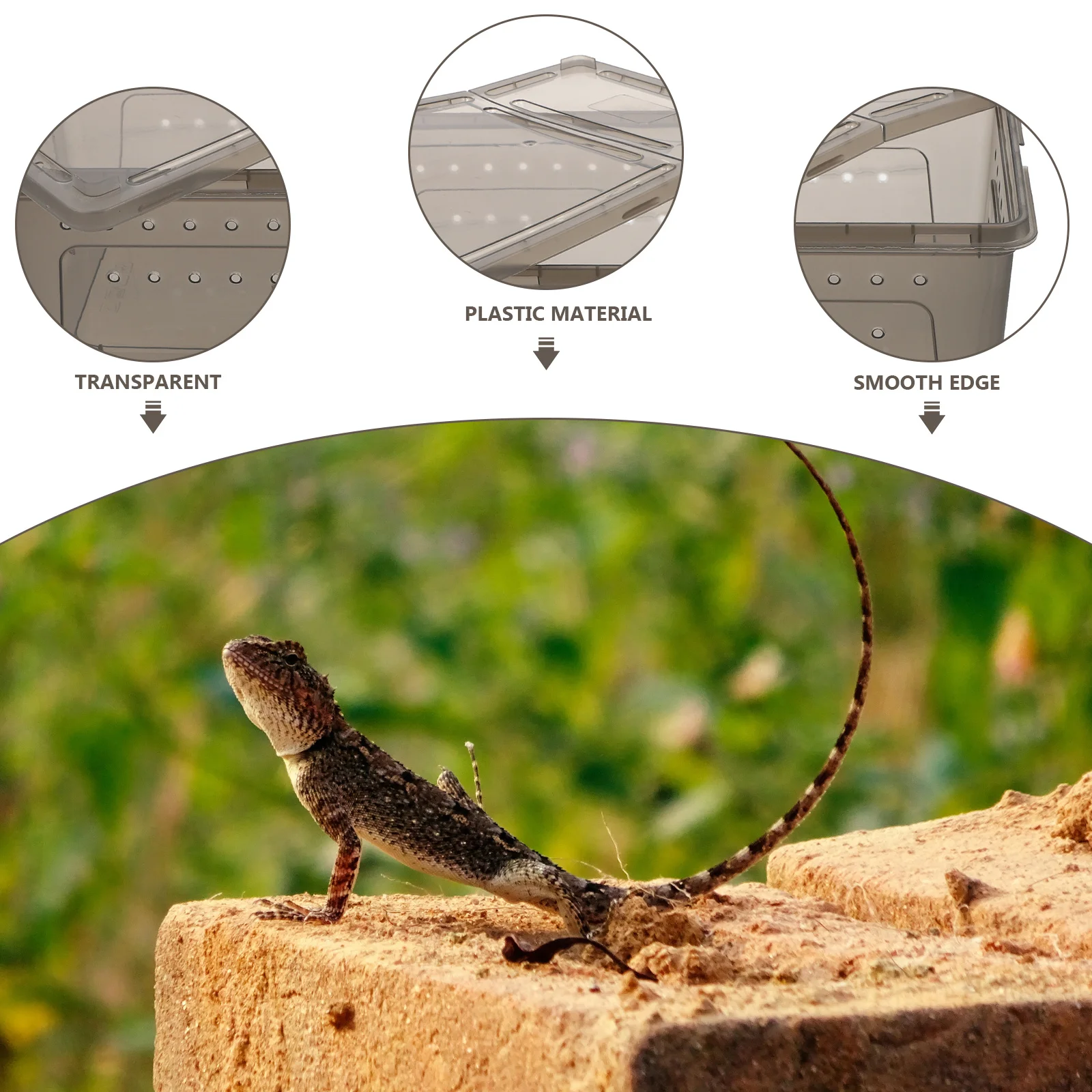 Plastic Reptile Terrarium Pet Breeding Box Ventilated Breathable Escape Proof Easy Clean Durable Small Crawler
Plastic Reptile Terrarium Pet Breeding Box Ventilated Breathable Escape Proof Easy Clean Durable Small Crawler