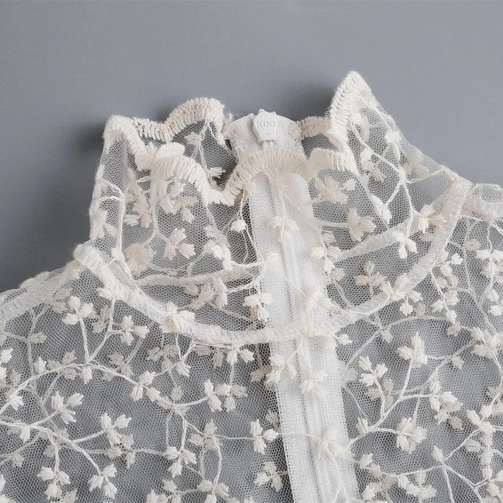 Transparent Lace Fake False Collar Hollow Elegant Petal Statement Collar Floral Embroidery Black and Apricot
Transparent Lace Fake False Collar Hollow Elegant Petal Statement Collar Floral Embroidery Black and Apricot