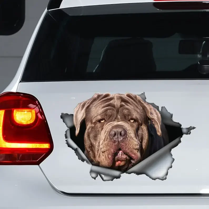 Neapolitan Mastiff dog decal , Neapolitan Mastiff magnet, Neapolitan Mastiff sticker, funny dog decal
Neapolitan Mastiff dog decal , Neapolitan Mastiff magnet, Neapolitan Mastiff sticker, funny dog decal