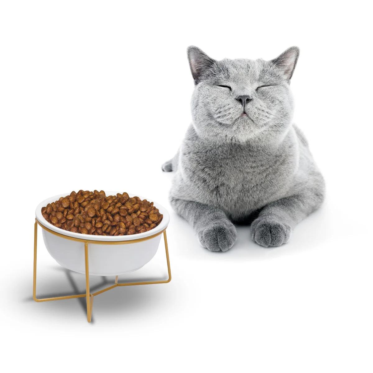 High Feet Pet Feeding Bowl Ceramic Cervical 17.8cm 800ml for Cat Dog Ecofriendly Durable Easy Clean Travel Friendly
High Feet Pet Feeding Bowl Ceramic Cervical 17.8cm 800ml for Cat Dog Ecofriendly Durable Easy Clean Travel Friendly