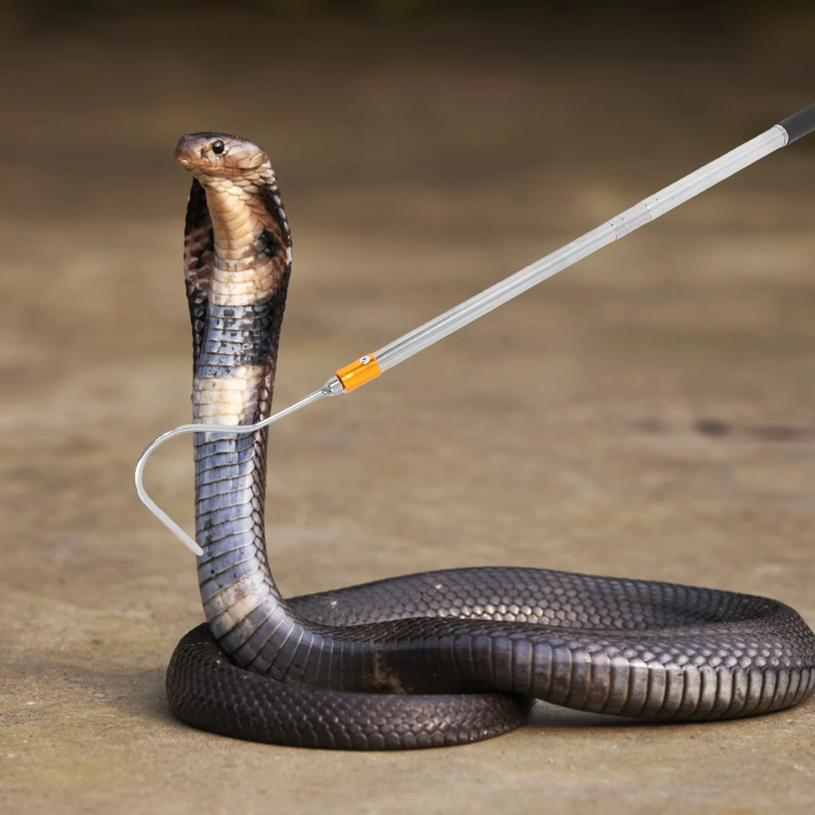 Snake Hook Telescopic Catching Tool Stainless Steel Adjustable Length Versatile Use Pet Supplies Handling Equipment
Snake Hook Telescopic Catching Tool Stainless Steel Adjustable Length Versatile Use Pet Supplies Handling Equipment