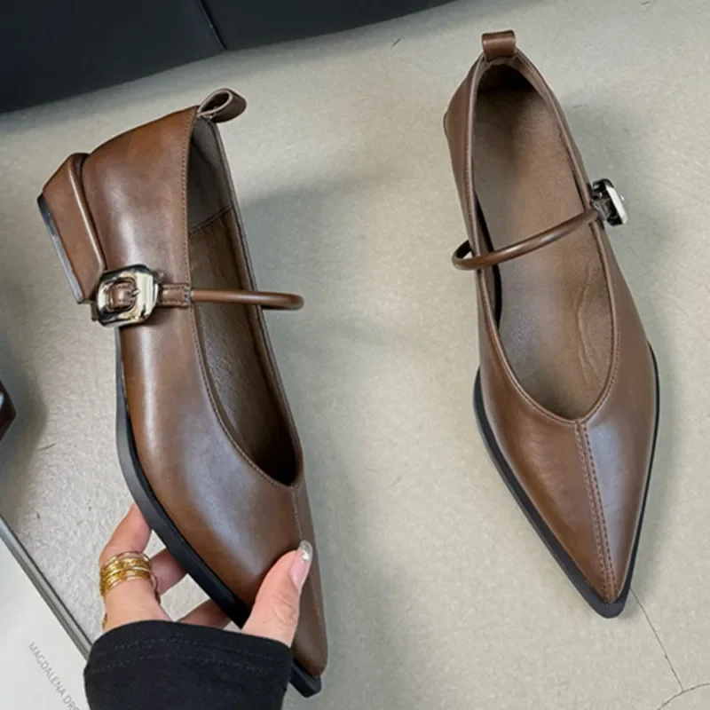 Elegant Pointed Toe Women Shoes Fashion Retro Designer Low Heel Office Shoes Buckle Comfort Shallow Casual Mary Jane Shoes Women
Elegant Pointed Toe Women Shoes Fashion Retro Designer Low Heel Office Shoes Buckle Comfort Shallow Casual Mary Jane Shoes Women