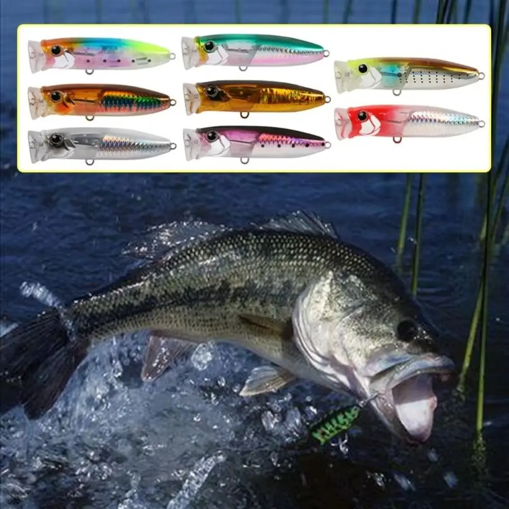 2025 9.6g/70mm Floating Popper Lure Hard Baits Floating Artificial Popper Steel Balls Fishing Lure Bass Fishing
2025 9.6g/70mm Floating Popper Lure Hard Baits Floating Artificial Popper Steel Balls Fishing Lure Bass Fishing