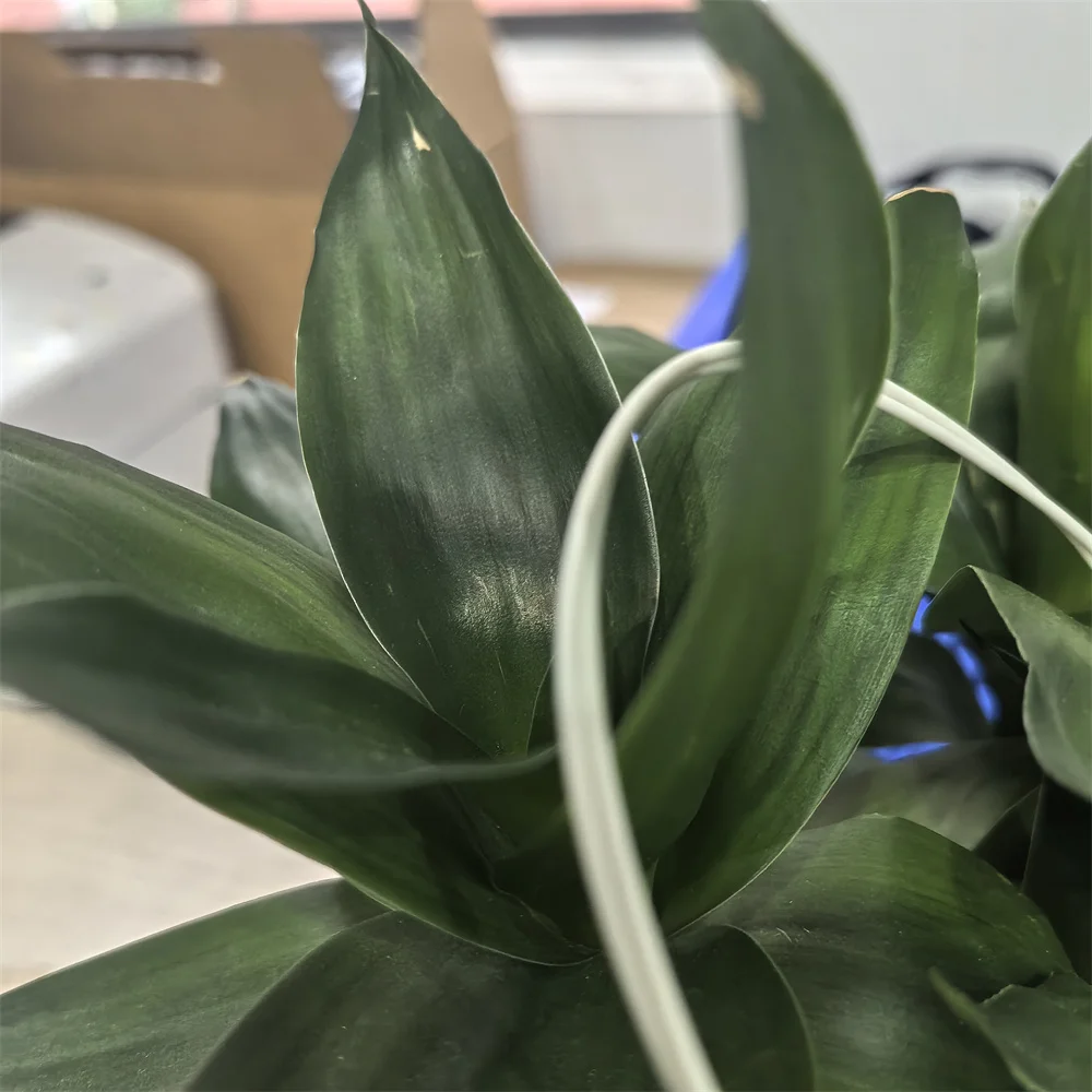 5PC New Compatible AW10-0088 (AW100088) Fuser Thermistor for Ricoh aficio 1515 mp161 171 201 301F SPF
5PC New Compatible AW10-0088 (AW100088) Fuser Thermistor for Ricoh aficio 1515 mp161 171 201 301F SPF