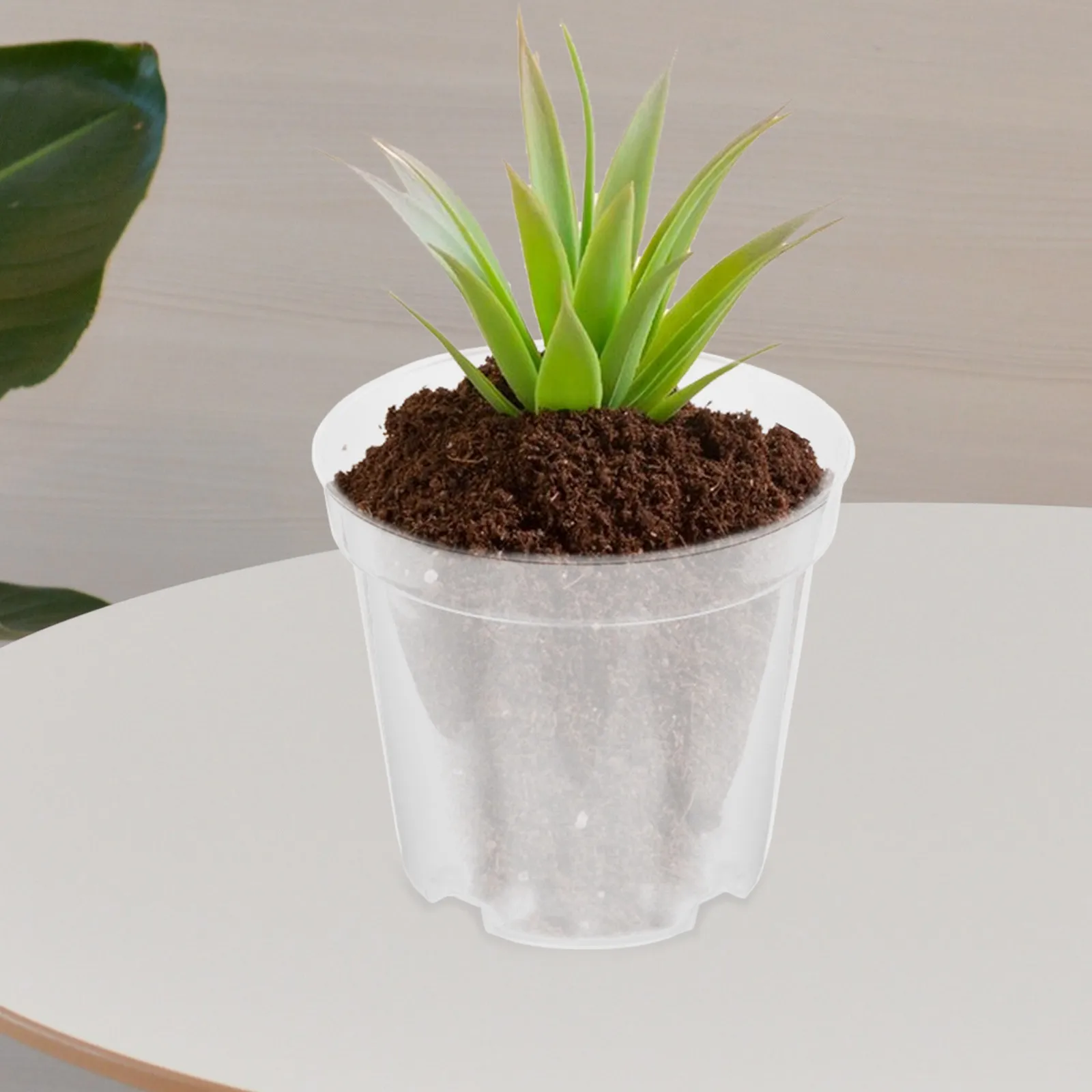 30Pcs Plastic Flower Pot Clear Nursery Pot for Succulents Cactus Plants Transparent Starter Pots with Drainage Holes Garden
30Pcs Plastic Flower Pot Clear Nursery Pot for Succulents Cactus Plants Transparent Starter Pots with Drainage Holes Garden