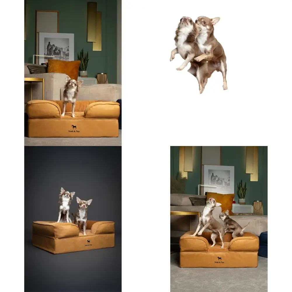 Orthopedic Memory Foam Dog Bed, 28x23x11, Cooling Gel, Waterproof, Washable for Medium Dogs
Orthopedic Memory Foam Dog Bed, 28x23x11, Cooling Gel, Waterproof, Washable for Medium Dogs