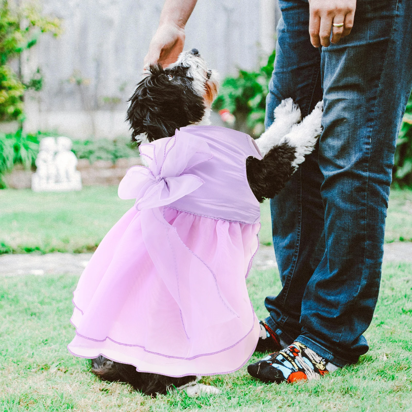 Pet Wedding Dress Dog Costume Fancy Prom Formal Clothes Violet Apparel Bridesmaid
Pet Wedding Dress Dog Costume Fancy Prom Formal Clothes Violet Apparel Bridesmaid