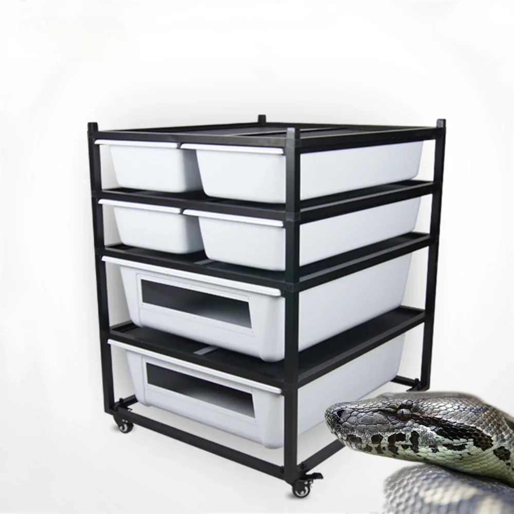 Metal reptile breeding rack PVC PP Plastic snake reptile feeding box for Tortoises Lizard Snake Crawling
Metal reptile breeding rack PVC PP Plastic snake reptile feeding box for Tortoises Lizard Snake Crawling