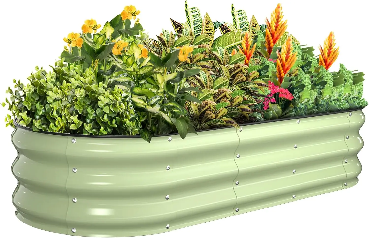 Outdoor Galvanized Steel Metal Raised Garden Bed in Fruit Green, Oval Open-Bottom Design for Vegetable & Herb Gardening
Outdoor Galvanized Steel Metal Raised Garden Bed in Fruit Green, Oval Open-Bottom Design for Vegetable & Herb Gardening