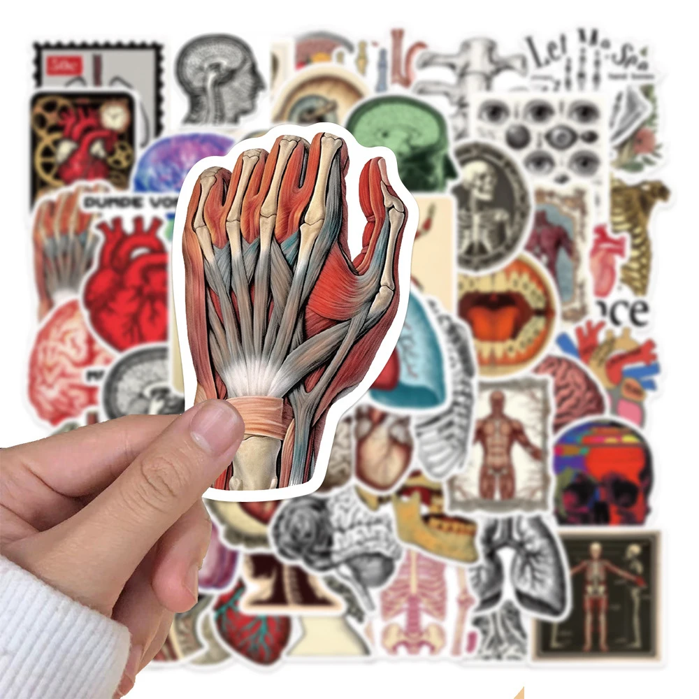 10/30/50pcs Retro Scientific Anatomy Graffiti Stickers Cartoon Human Physiology Organ Decals Scrapbook Notebook Suitcase Sticker
10/30/50pcs Retro Scientific Anatomy Graffiti Stickers Cartoon Human Physiology Organ Decals Scrapbook Notebook Suitcase Sticker