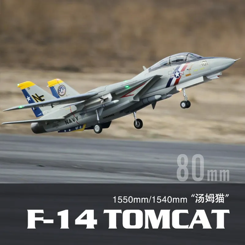 In Stock Freewing Dual 80mm Rc Airplane Jet Model F-14 80mm Duct Simulation Model Aircraft