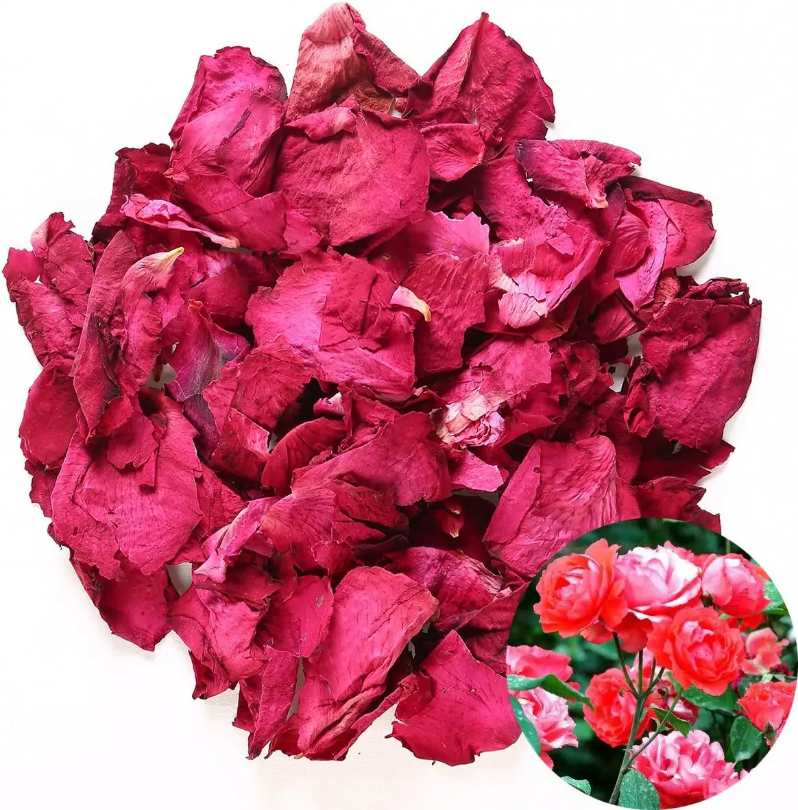Natural Dried Rose Petals for Herbal Tea, Baking, Wedding Decor, Bath, Body Wash & Crafting - 2oz
Natural Dried Rose Petals for Herbal Tea, Baking, Wedding Decor, Bath, Body Wash & Crafting - 2oz
