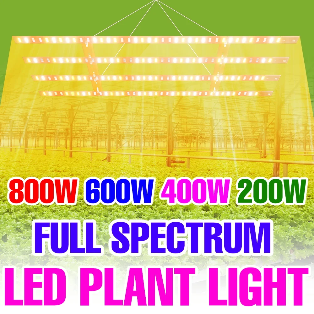 Светодиодная лампа для растений 800 Вт, полный спектр, 220 В, для гидропоники, теплиц, выращивания овощей, суккулентов, семян, дополнительное освещение
Светодиодная лампа для растений 800 Вт, полный спектр, 220 В, для гидропоники, теплиц, выращивания овощей, суккулентов, семян, дополнительное освещение