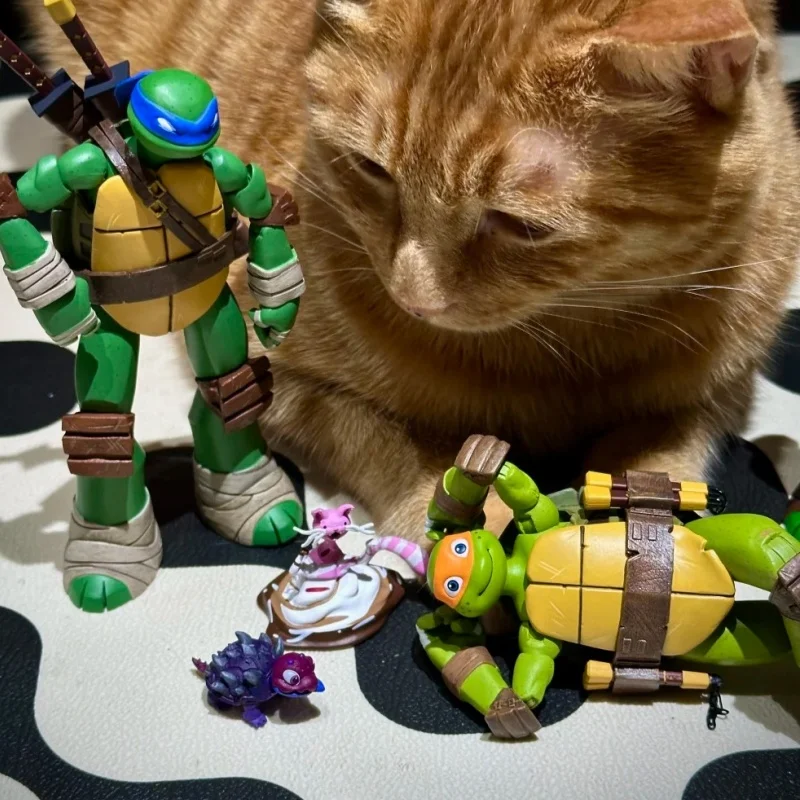 Новые коллекционные фигурки Neca Ninja Turtles 2012 года, 7-дюймовые, подвижные, пропорциональные, в наличии.
Новые коллекционные фигурки Neca Ninja Turtles 2012 года, 7-дюймовые, подвижные, пропорциональные, в наличии.