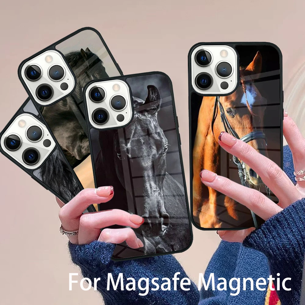 Beautiful Black Horse Phone Case Magesafe Magnetic Wireless Charge Cover For IPhone 16 11 12 13 14 15 Pro Max Plus Mini
Beautiful Black Horse Phone Case Magesafe Magnetic Wireless Charge Cover For IPhone 16 11 12 13 14 15 Pro Max Plus Mini