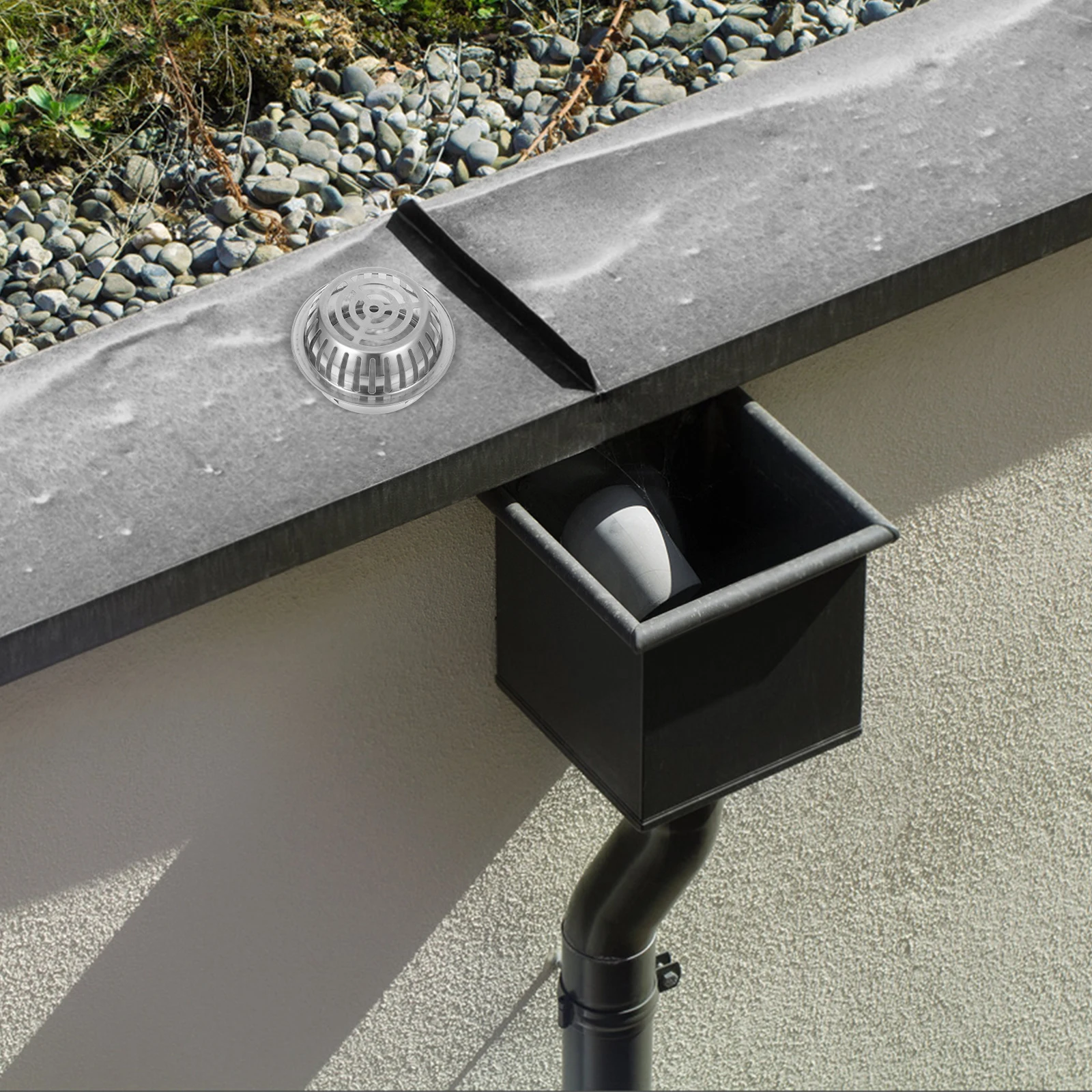 Нержавеющая сталь Защита водосточной трубы Фильтр Крышка сливного фильтра Антиблокировочная дренажная крышка Защита от утечки желоба Металлический экран Крыша Круглая
Нержавеющая сталь Защита водосточной трубы Фильтр Крышка сливного фильтра Антиблокировочная дренажная крышка Защита от утечки желоба Металлический экран Крыша Круглая