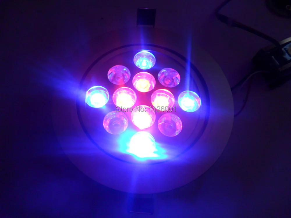 9 Вт 12 Вт RGB светодиодный потолочный светильник, встраиваемый потолочный светильник, круглая панель-лампа-для освещения ванной комнаты, спальни, кухни (6000 К, AC220-265 В
9 Вт 12 Вт RGB светодиодный потолочный светильник, встраиваемый потолочный светильник, круглая панель-лампа-для освещения ванной комнаты, спальни, кухни (6000 К, AC220-265 В
