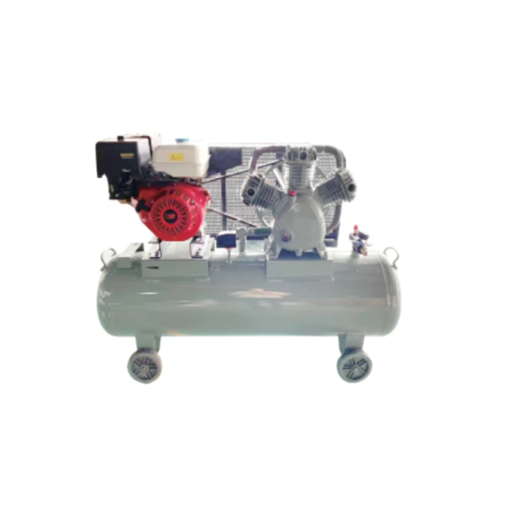 0.9m3 /0.25m3 Air Compressor China Silent Air Compressor Portable Air Compressor Factor Price
0.9m3 /0.25m3 Air Compressor China Silent Air Compressor Portable Air Compressor Factor Price