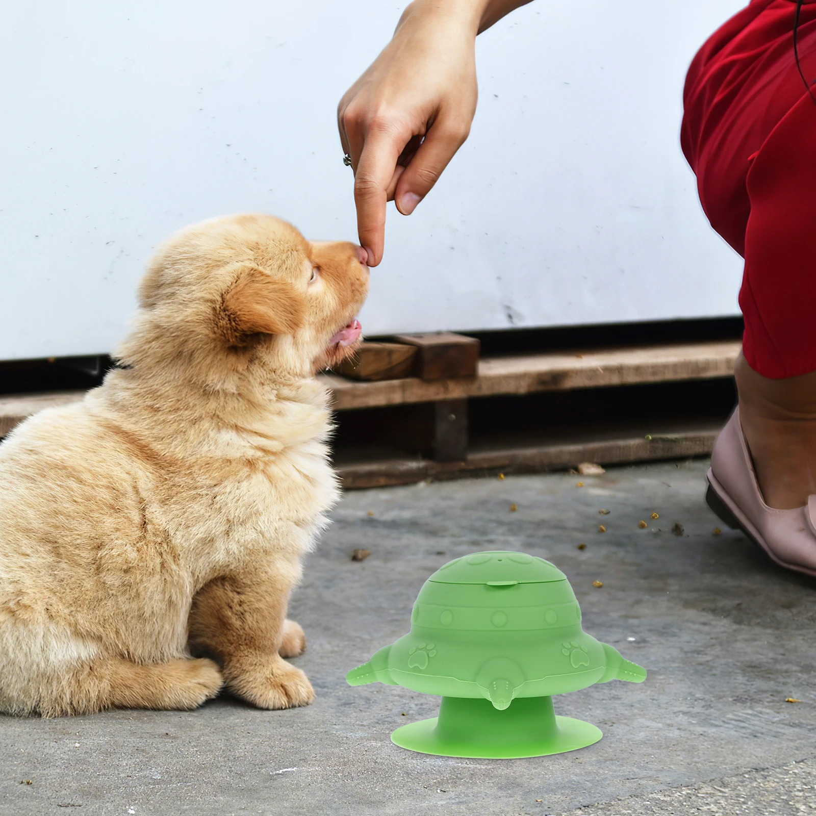 Puppy Milk Feeder Silicone 4 Pacifiers Small Pets Bowl Newborn Animals Nursing Bottle Rabbit Hamster Cat Feeding Practical
Puppy Milk Feeder Silicone 4 Pacifiers Small Pets Bowl Newborn Animals Nursing Bottle Rabbit Hamster Cat Feeding Practical