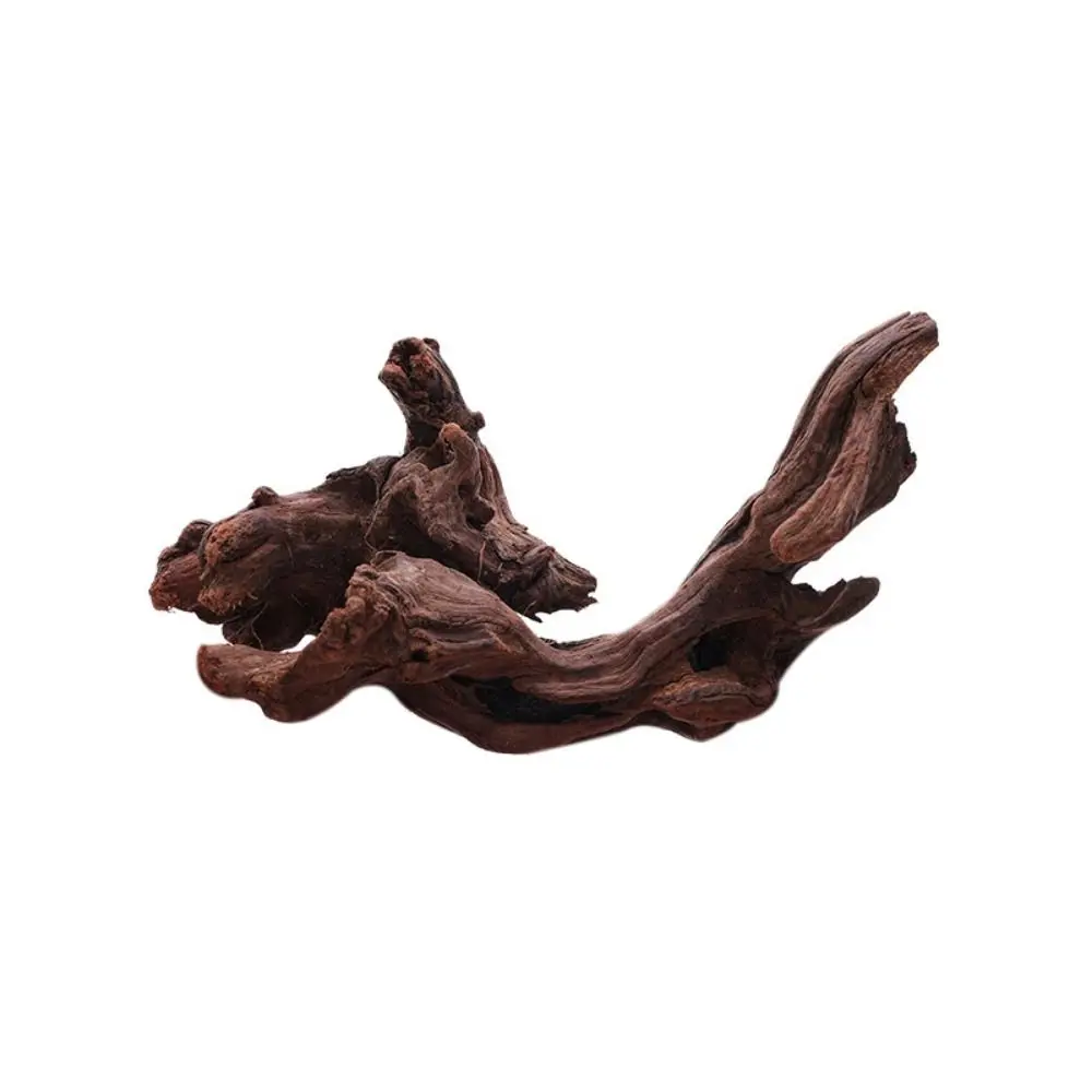 Decorative Irregular Shape Coral Wood Natural Wood Driftwood Trunk Air Pineapple Tree Roots Home Decor
Decorative Irregular Shape Coral Wood Natural Wood Driftwood Trunk Air Pineapple Tree Roots Home Decor