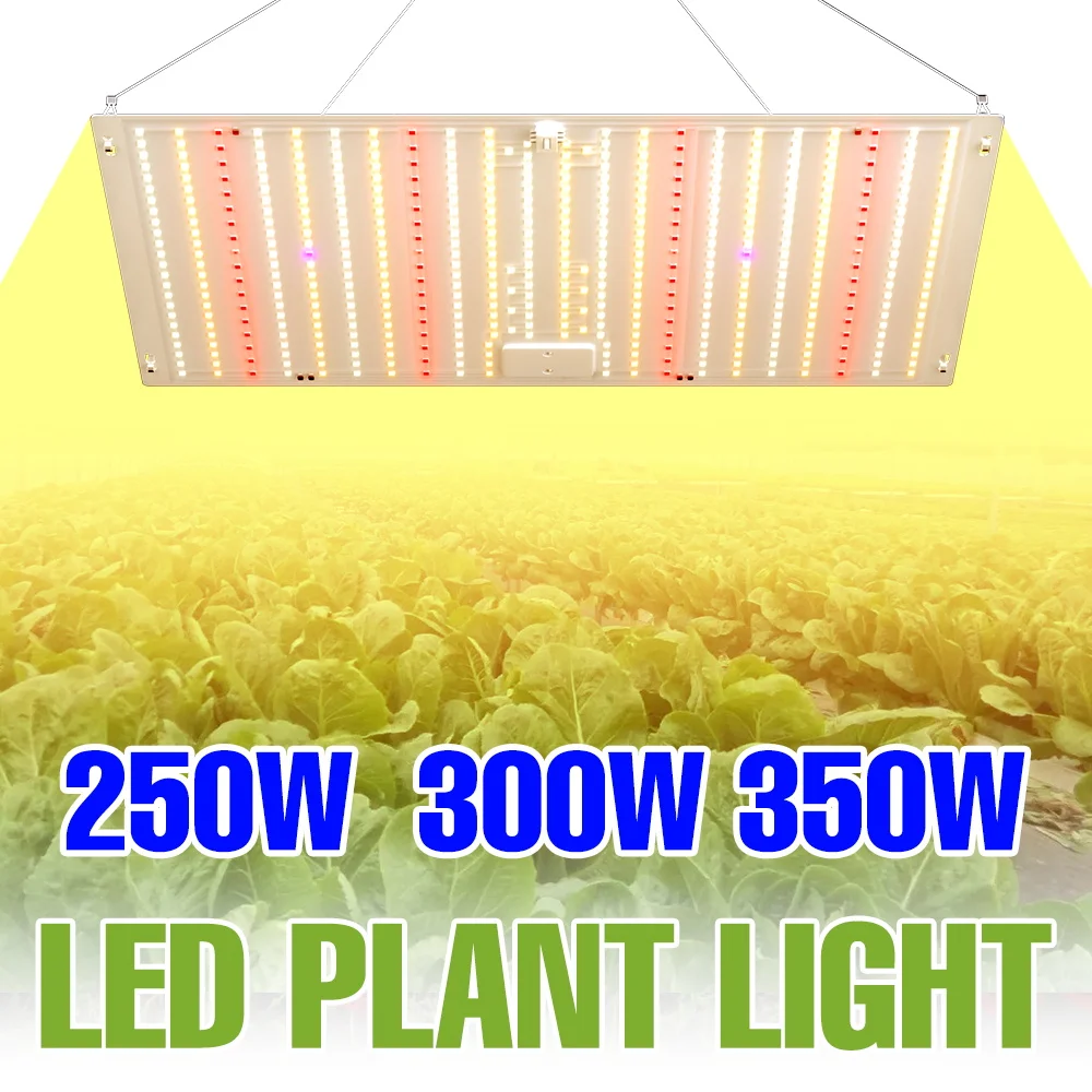 350W LED Quantum Board Plant Lamp Full Spectrum 220V Greenhouse Hydroponic Cultivation Fill Lamps Indoor Seeds Planting Lighting
350W LED Quantum Board Plant Lamp Full Spectrum 220V Greenhouse Hydroponic Cultivation Fill Lamps Indoor Seeds Planting Lighting
