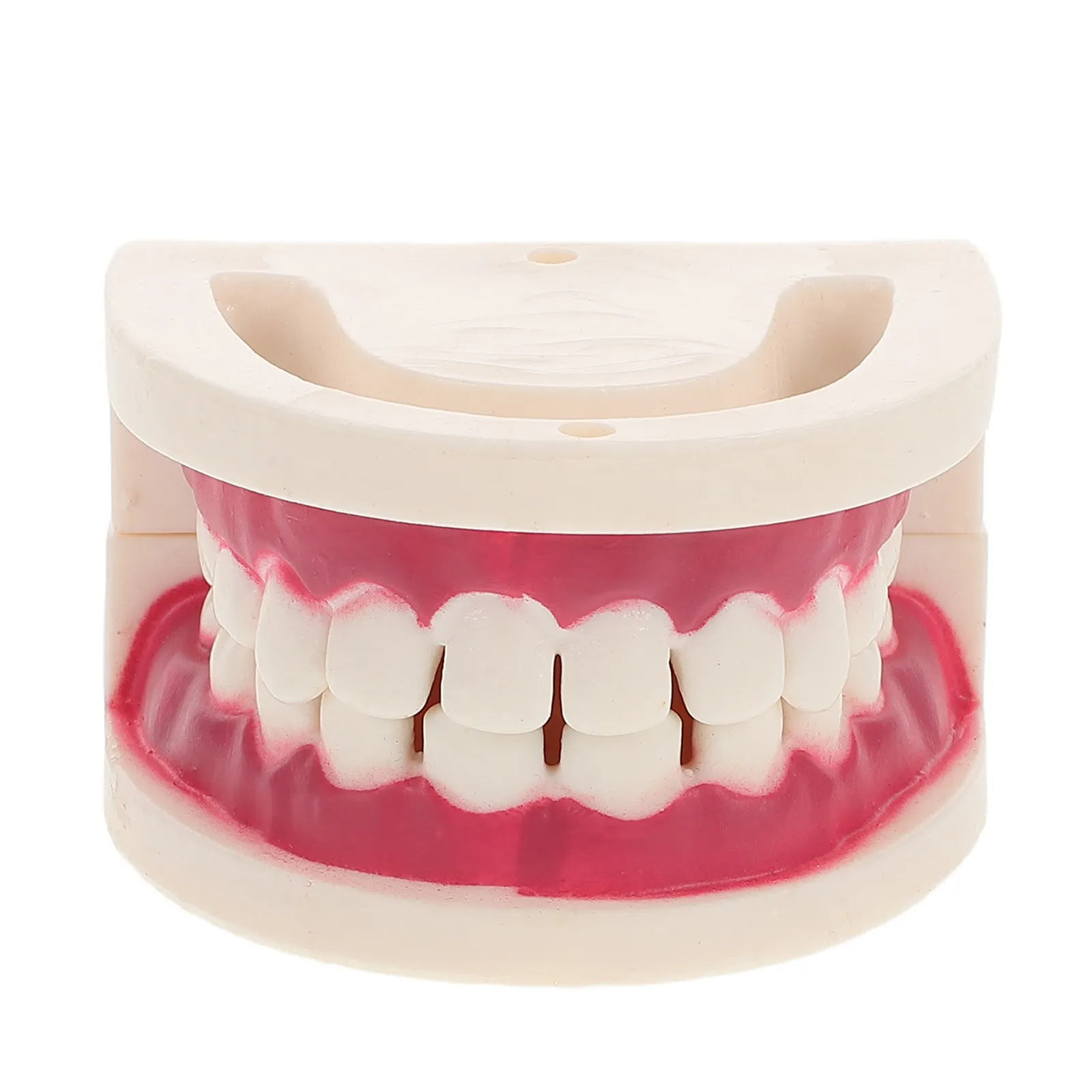 Plastic Training Realistic Typodont Practice Kit For Tooth Restoration Orthodontic Education Artificial Teeth Dentistry Students
Plastic Training Realistic Typodont Practice Kit For Tooth Restoration Orthodontic Education Artificial Teeth Dentistry Students