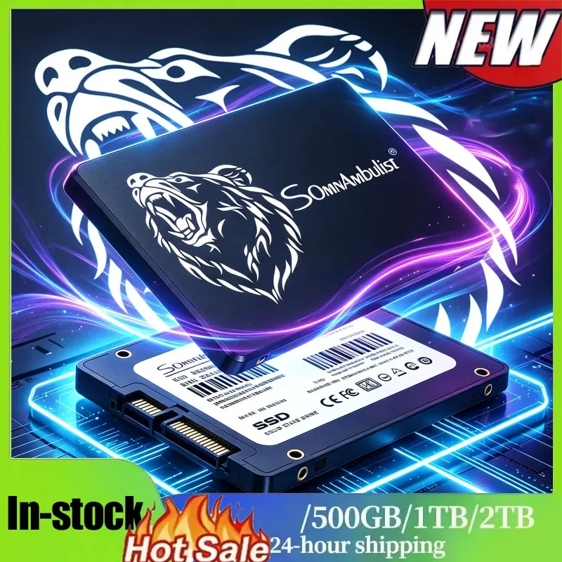 SomnAmbulist 2.5 Inch SATA III SSD 256GB Internal Solid State Drive for Laptop Desktop PC Hard Disk Drive
SomnAmbulist 2.5 Inch SATA III SSD 256GB Internal Solid State Drive for Laptop Desktop PC Hard Disk Drive
