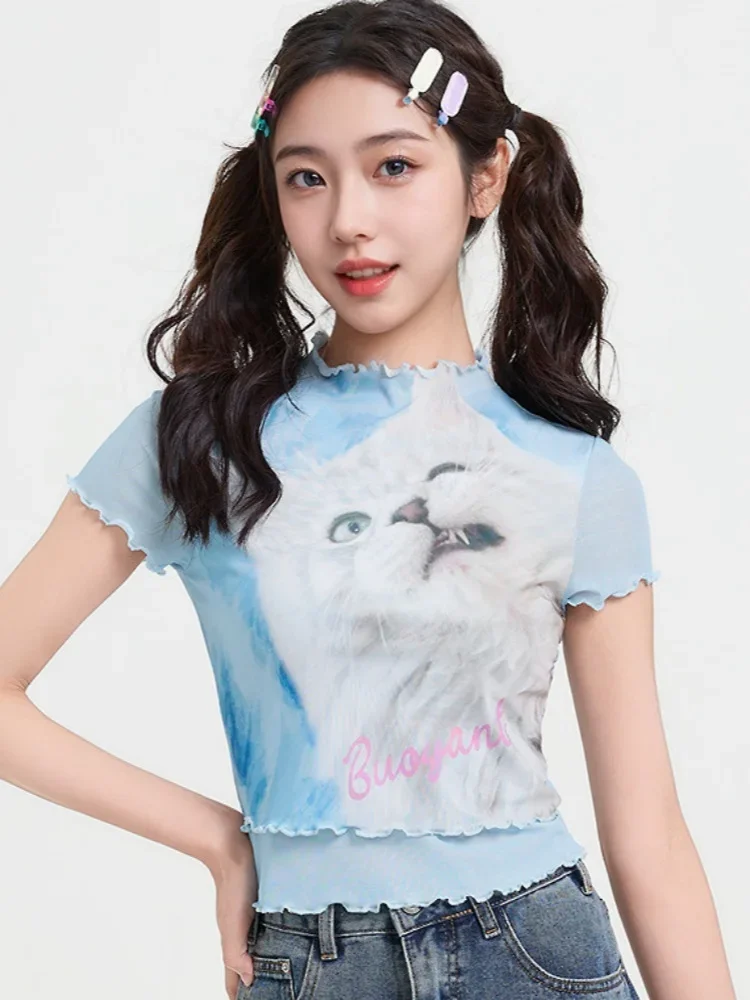 корейский стиль 2000s Y2K fun Cat Cute pattern Crop Top шикарный грибок Edge Mesh Футболка с короткими рукавами Небесно-голубой Slim fit Летний повседневный
корейский стиль 2000s Y2K fun Cat Cute pattern Crop Top шикарный грибок Edge Mesh Футболка с короткими рукавами Небесно-голубой Slim fit Летний повседневный