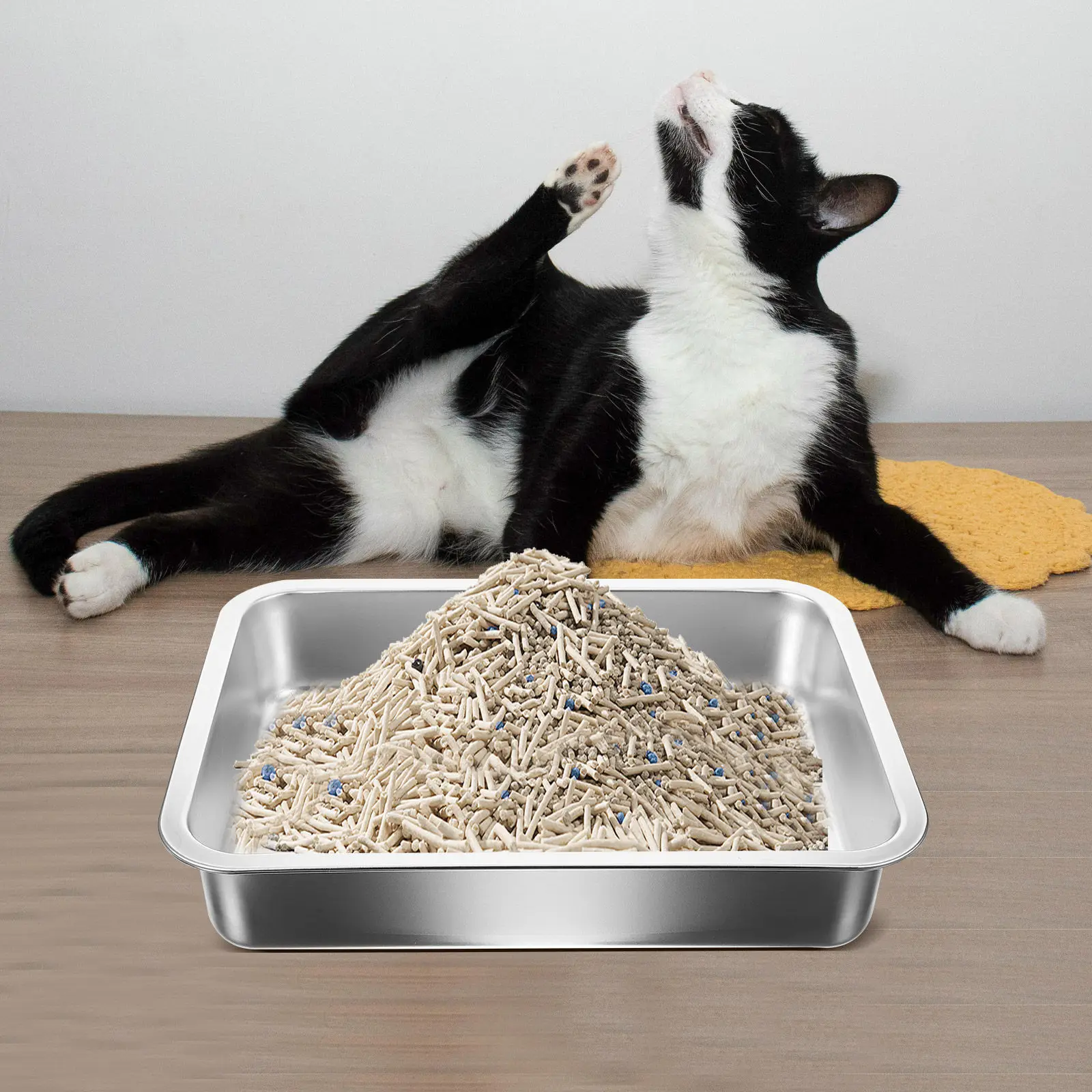 Open Style Stainless Steel Cat Litter Box Large Capacity Easy Clean Metal Cat Toilet Container for Kitten Portable Litter Box
Open Style Stainless Steel Cat Litter Box Large Capacity Easy Clean Metal Cat Toilet Container for Kitten Portable Litter Box